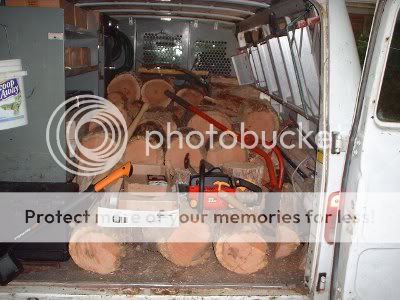 [Hearth.com] Yes, Firewood Grows On Trees