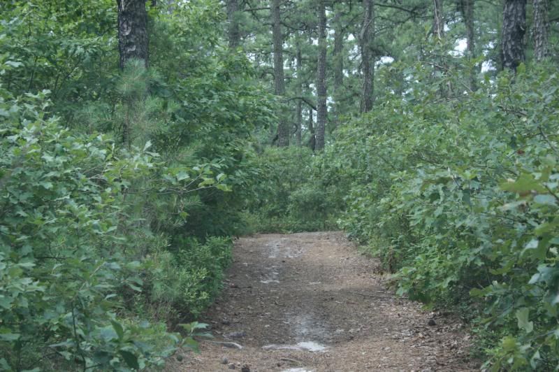[Hearth.com] Heading to the Jersey Pines this weekend