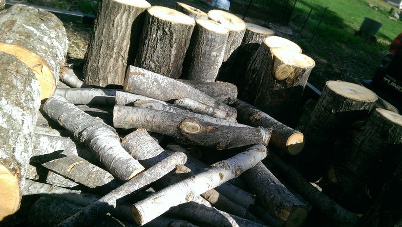 [Hearth.com] Wood ID please