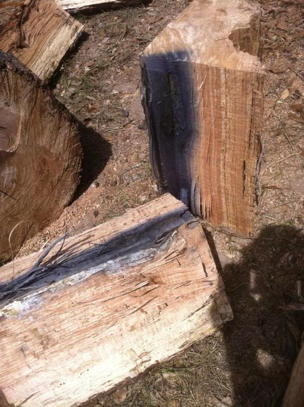 [Hearth.com] First Encounter of Embedded Metal vs Chain Saw
