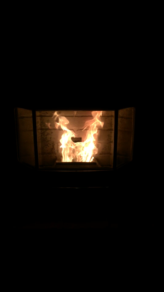 [Hearth.com] Low flame Astoria bay insert.