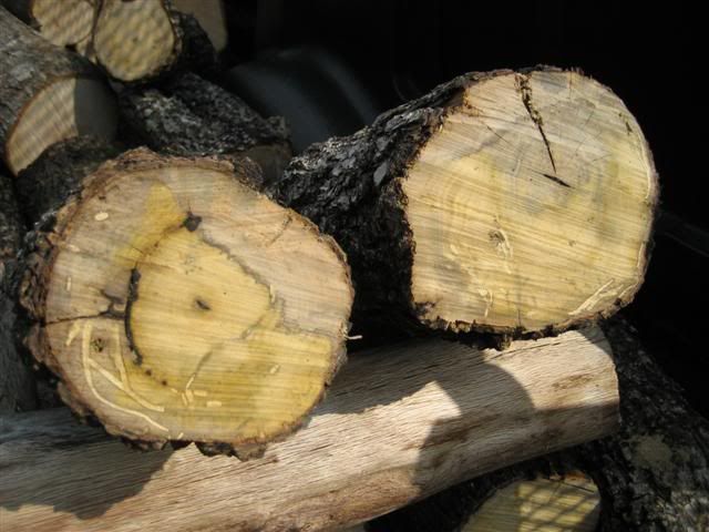[Hearth.com] Wood ID...possible scrounge..not much to go with right now....