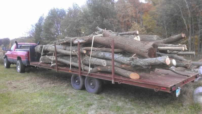 Big loads of oak, black walnut, and some others...