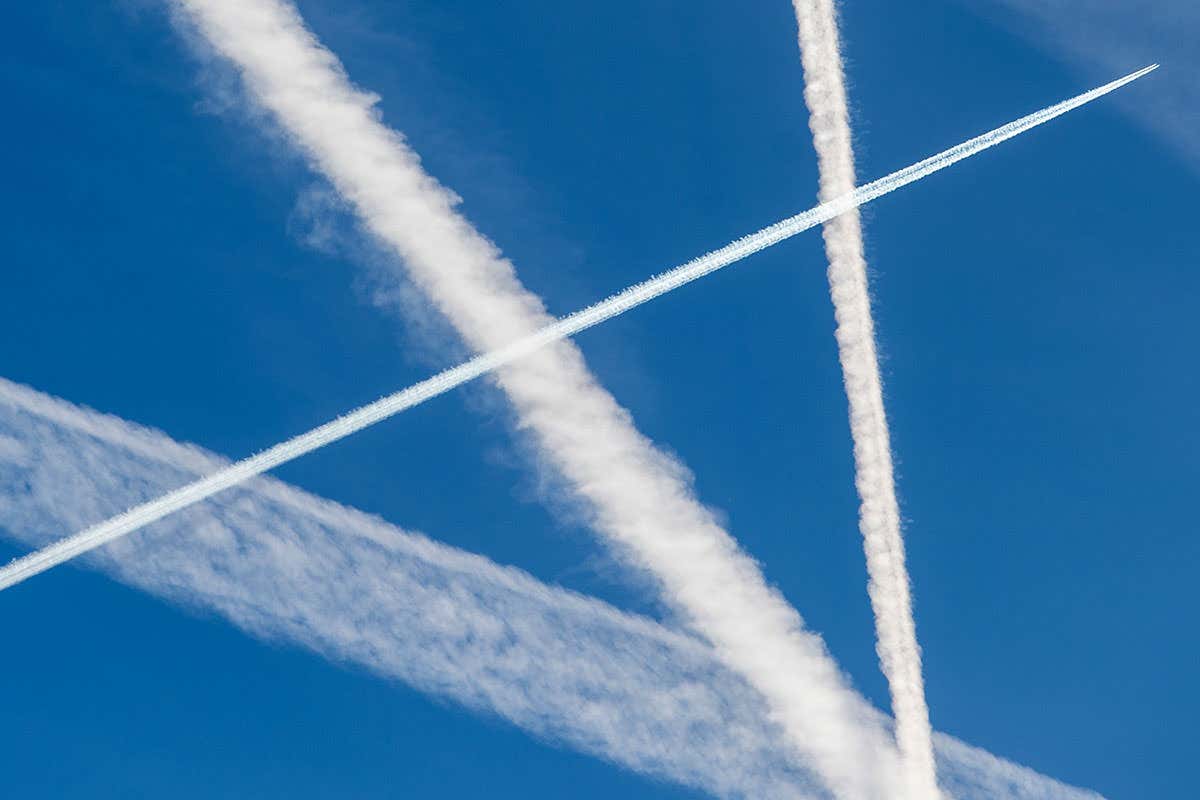 www.newscientist.com