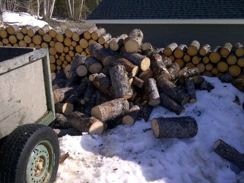 [Hearth.com] Great afternoon in the woods.