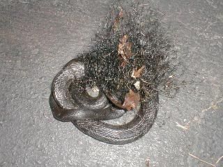 [Hearth.com] Found someone sleeping in my tractor today