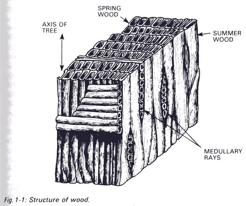 [Hearth.com] Wood ID...old wood from clearcut