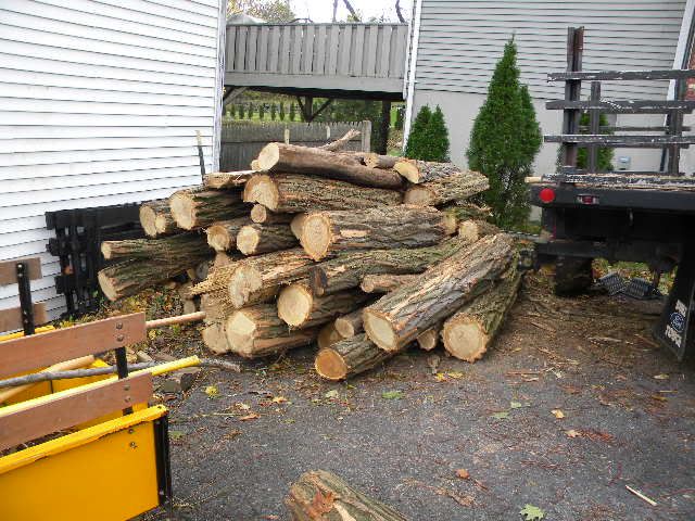 [Hearth.com] Sandy Droppings