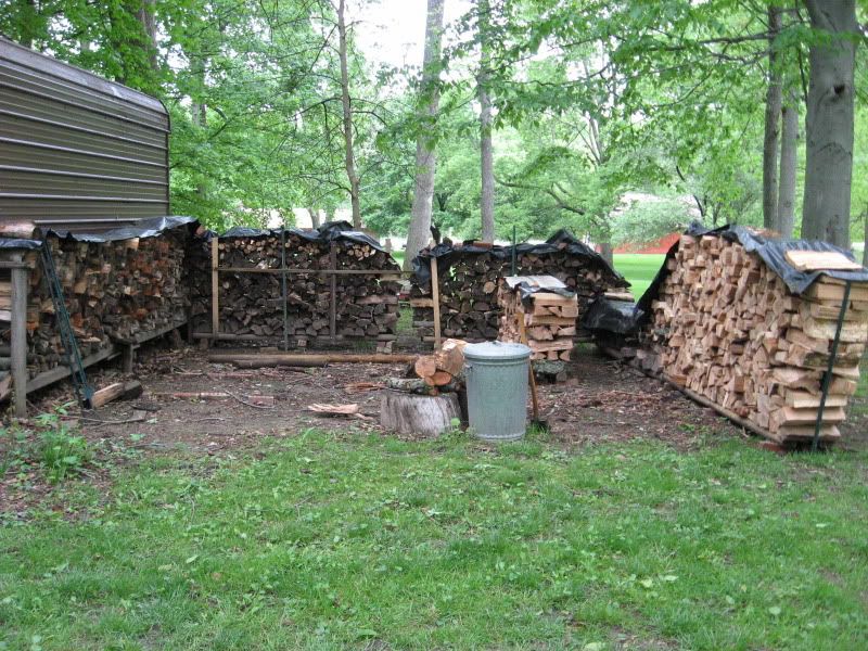 [Hearth.com] Got started on the Ash tree  Pics added