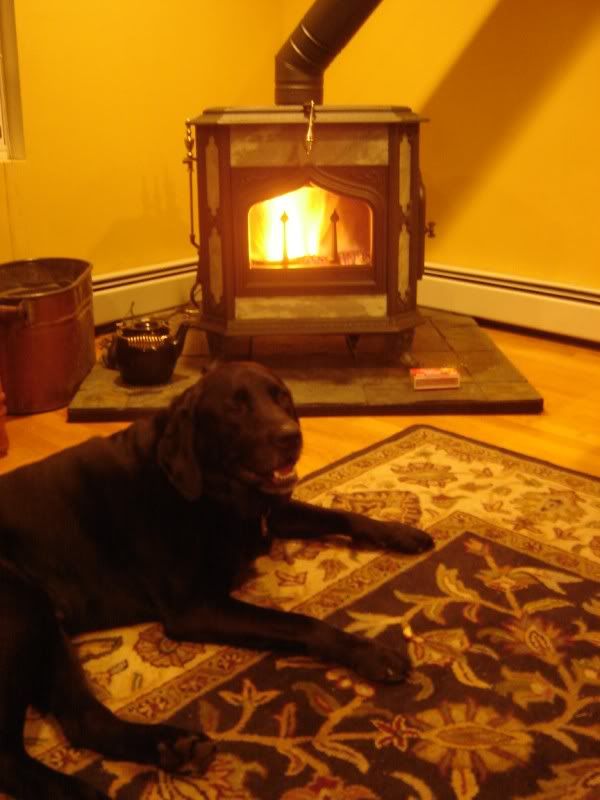 "The Official Show Off Your Hearth Thread" | Hearth.com Forums Home