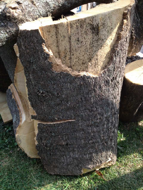 [Hearth.com] Help with a wood ID!!