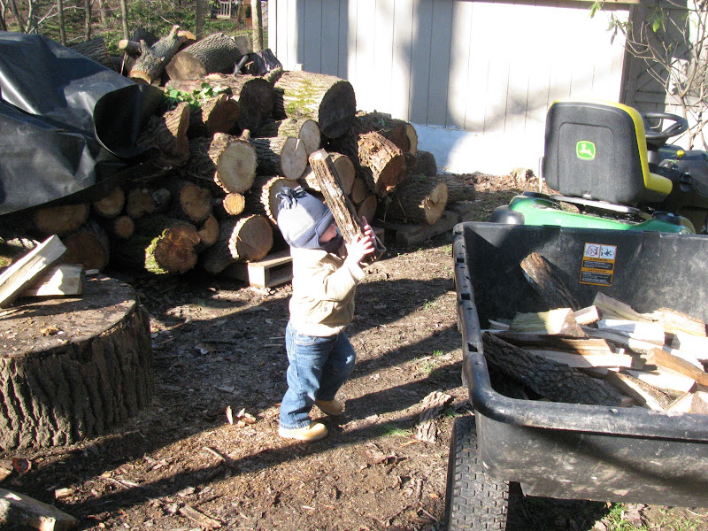 Young wood cutter