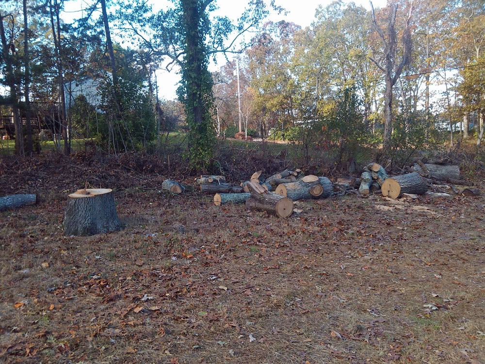 [Hearth.com] Scrounge alert in Absecon NJ