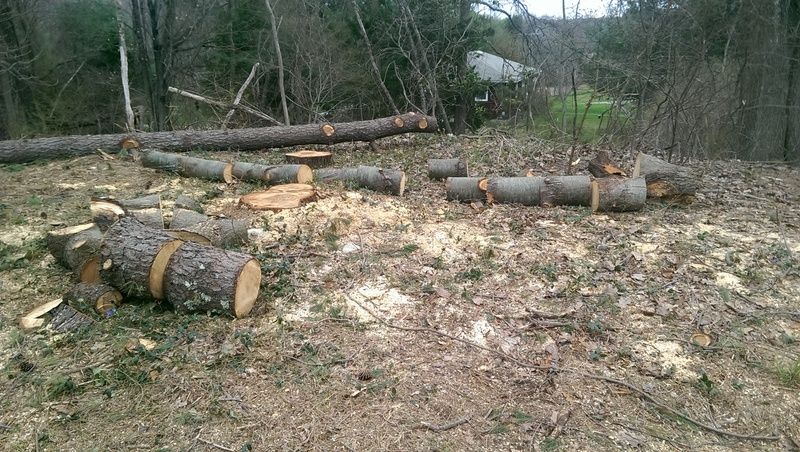 To much free wood at once in SE CT. Anyone want to help and share.