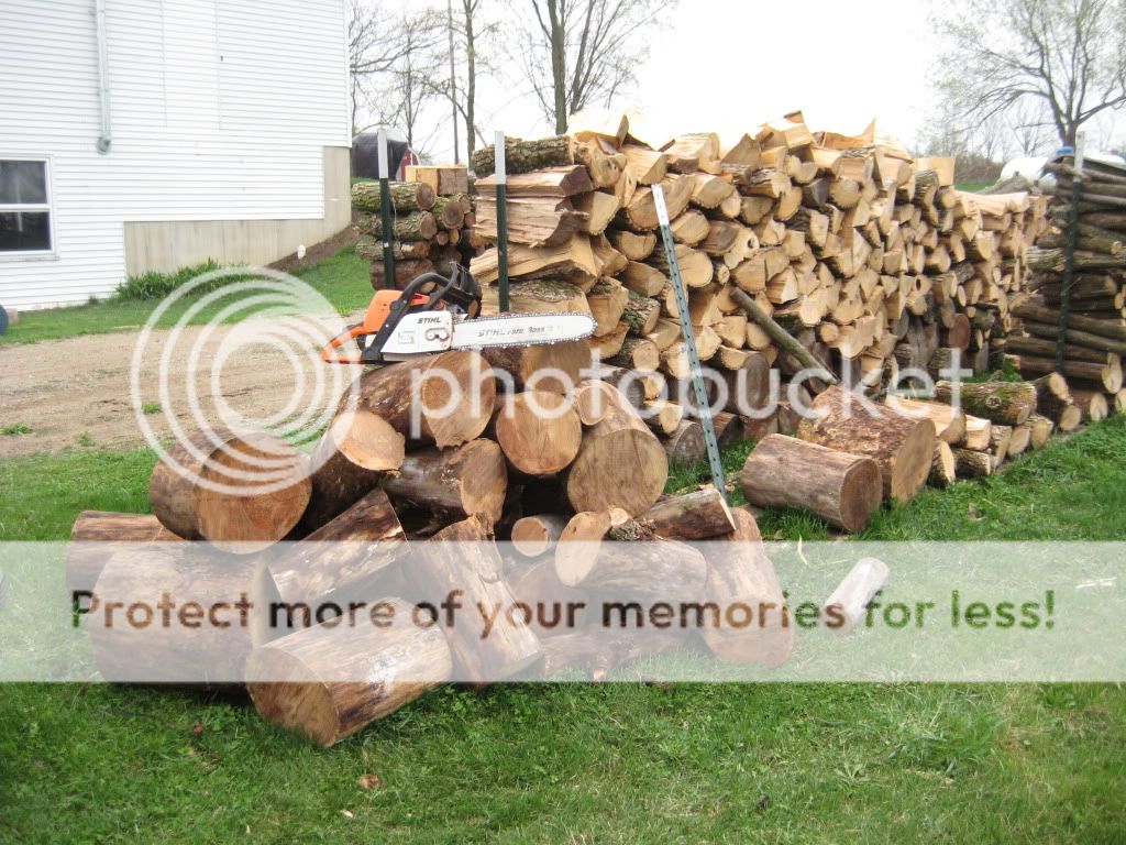 Adding to the wood pile!!! (Pics)