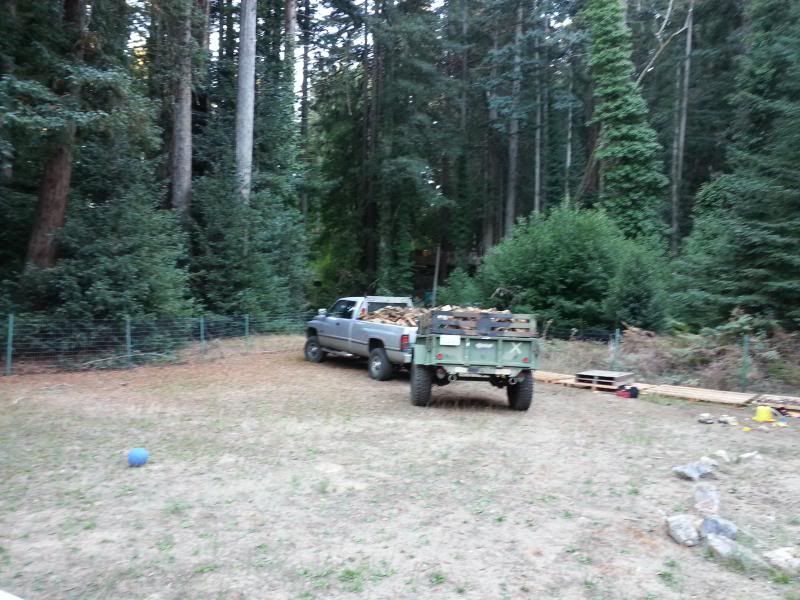 Wood Brought Home and Stacked