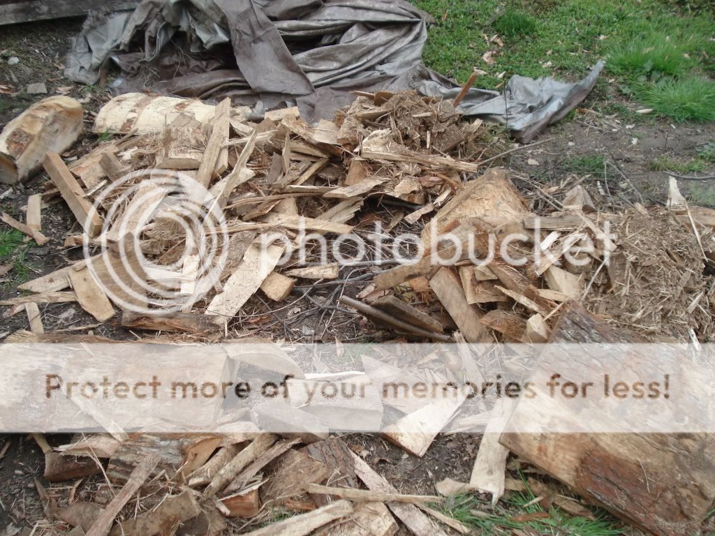 [Hearth.com] Needing some advice-Firewood delivery not as expected