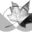 www.policynote.ca