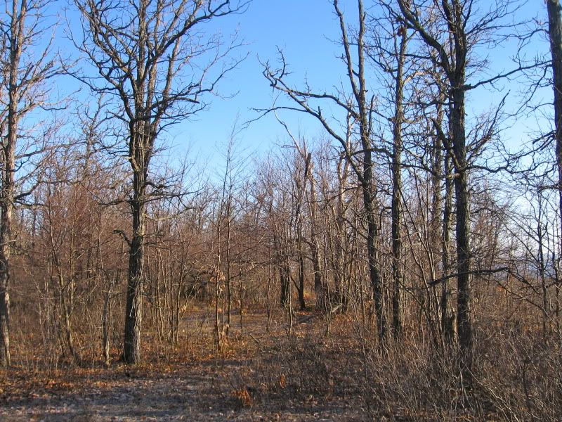 [Hearth.com] Question re: seasoning dead standing bur oak