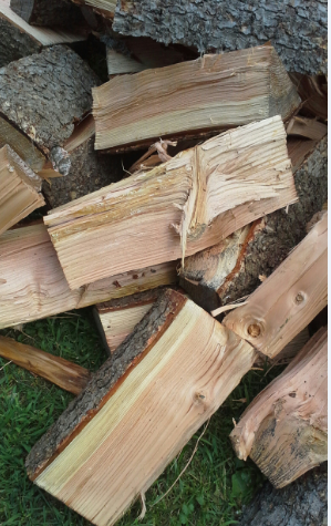 [Hearth.com] Wood ID