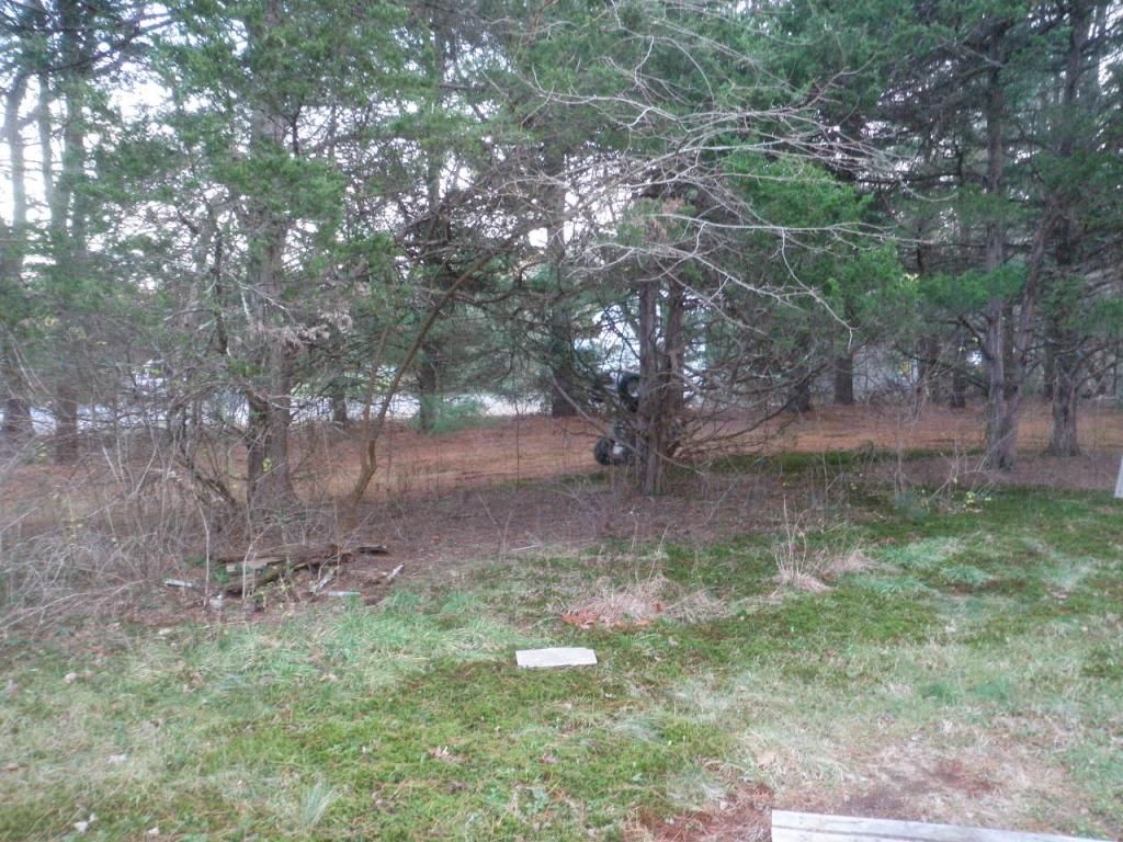 [Hearth.com] Eastern Cedar??
