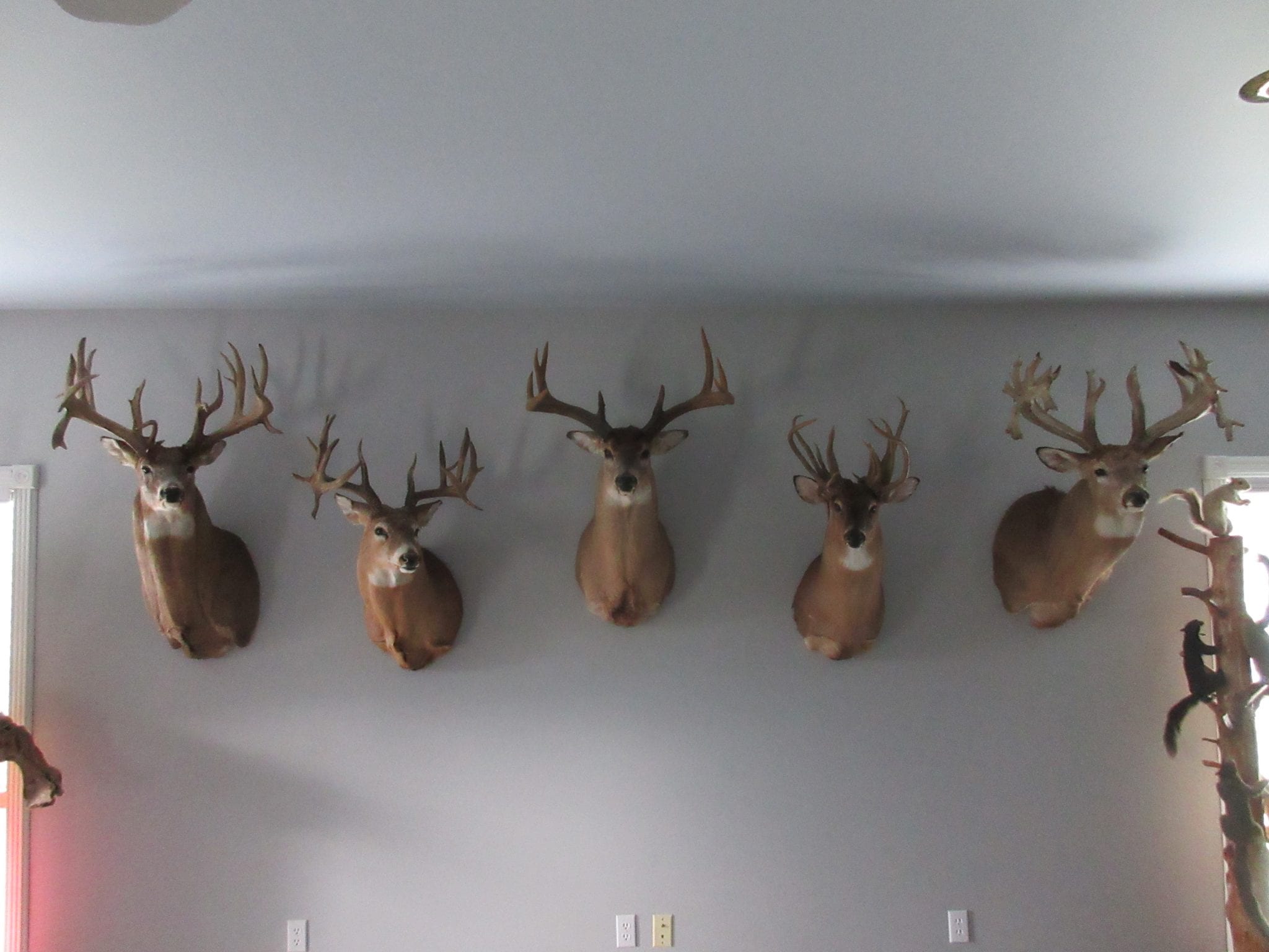 [Hearth.com] Less wood consumption