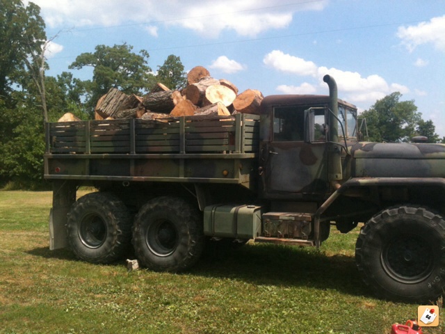 First load of black locust!