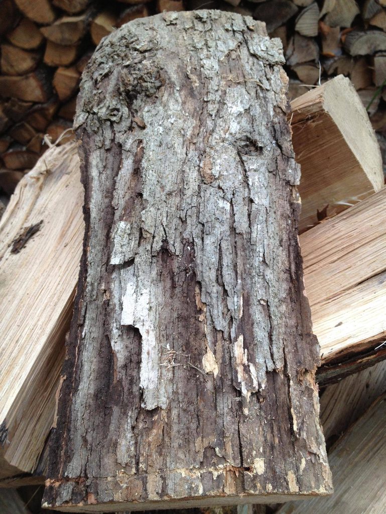 [Hearth.com] Wood ID