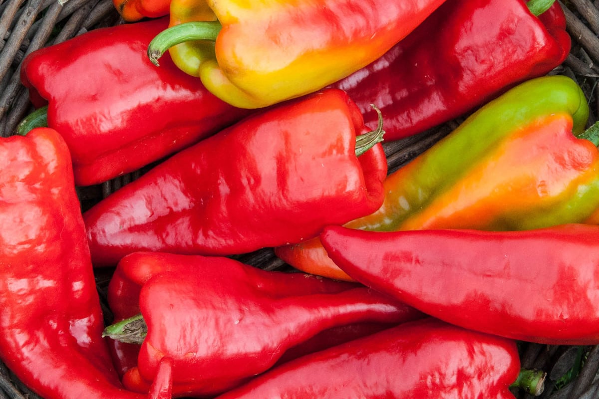 www.pepperscale.com