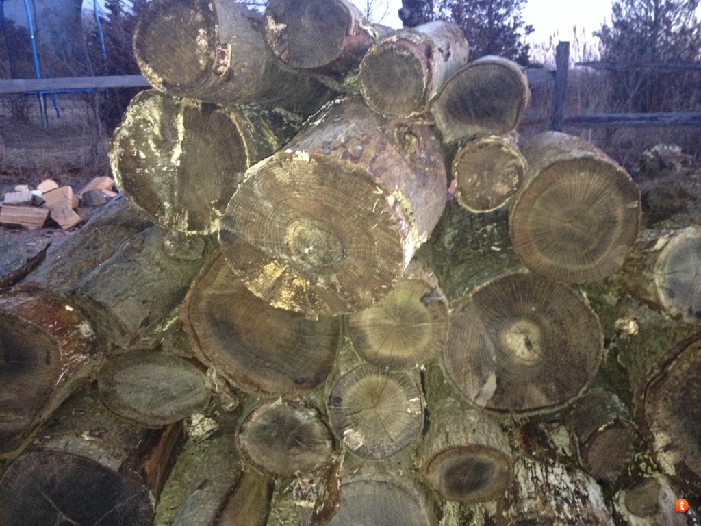 [Hearth.com] Nice oak score