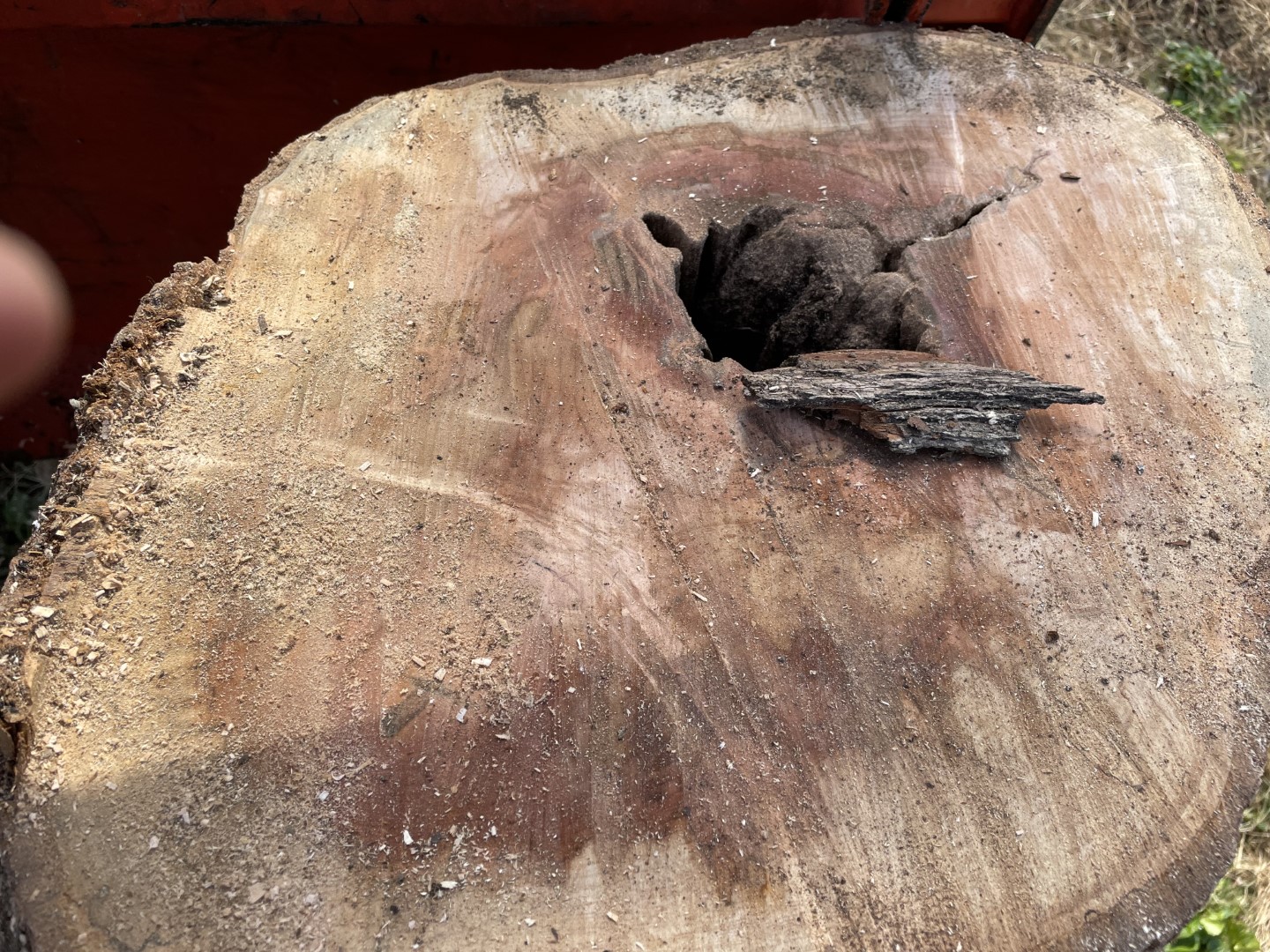 [Hearth.com] Request for wood ID:  Silver Maple?