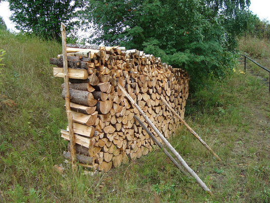 piling wood to season