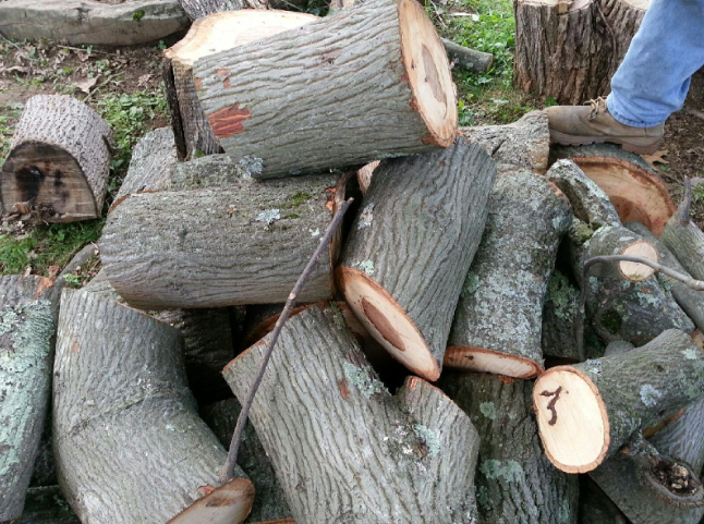 [Hearth.com] Wood ID