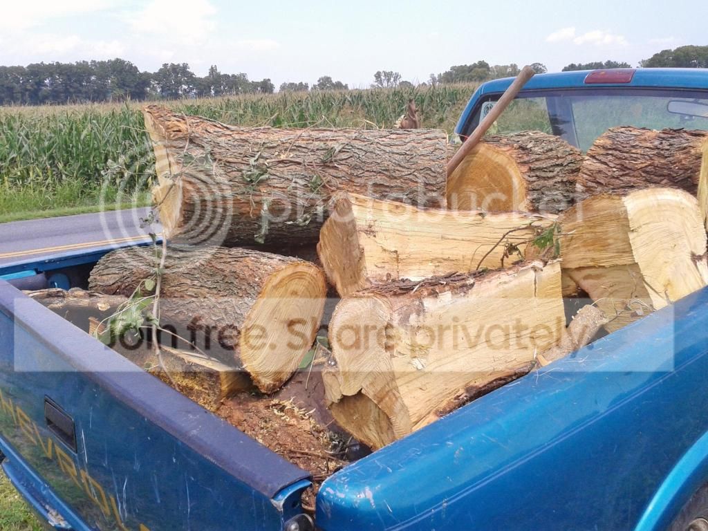 [Hearth.com] can someone post of picture of a cut mulberry?