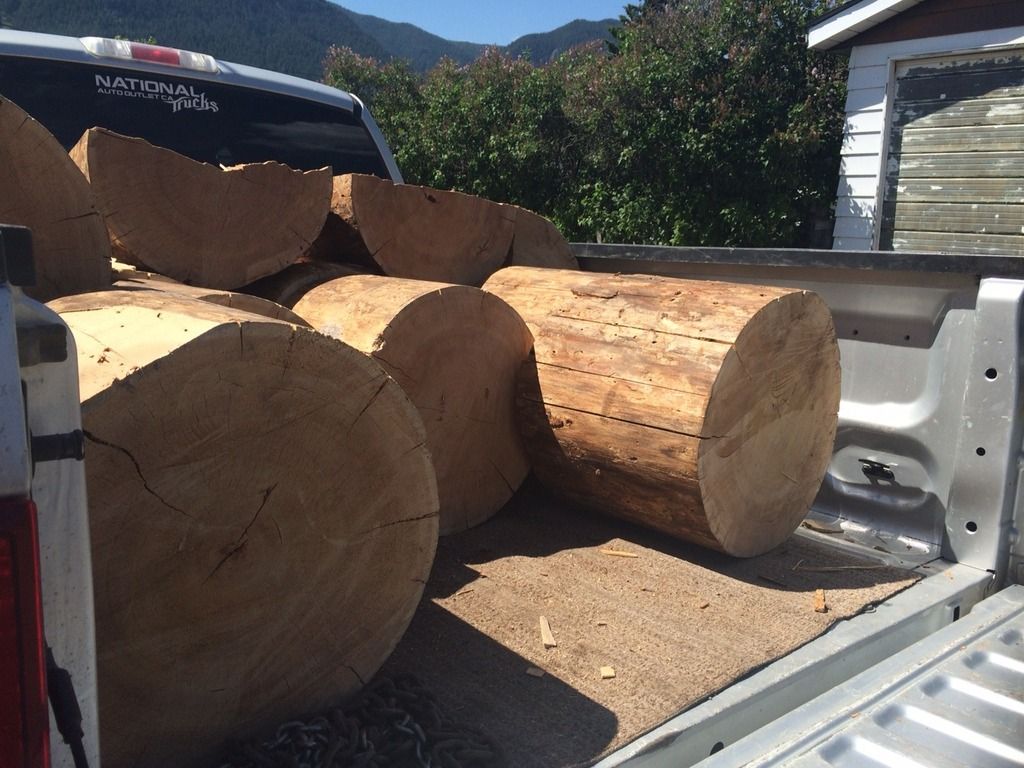 [Hearth.com] Little adventure up in 'Larch' land.