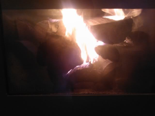 [Hearth.com] Chinook burn times