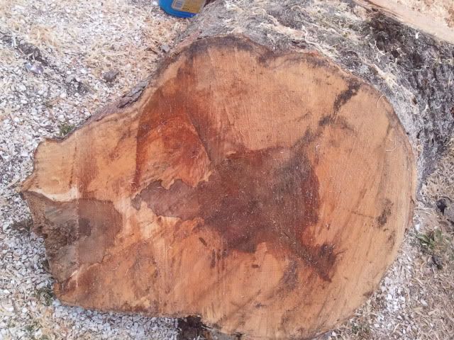 [Hearth.com] Cutting wood for something other than Firewood