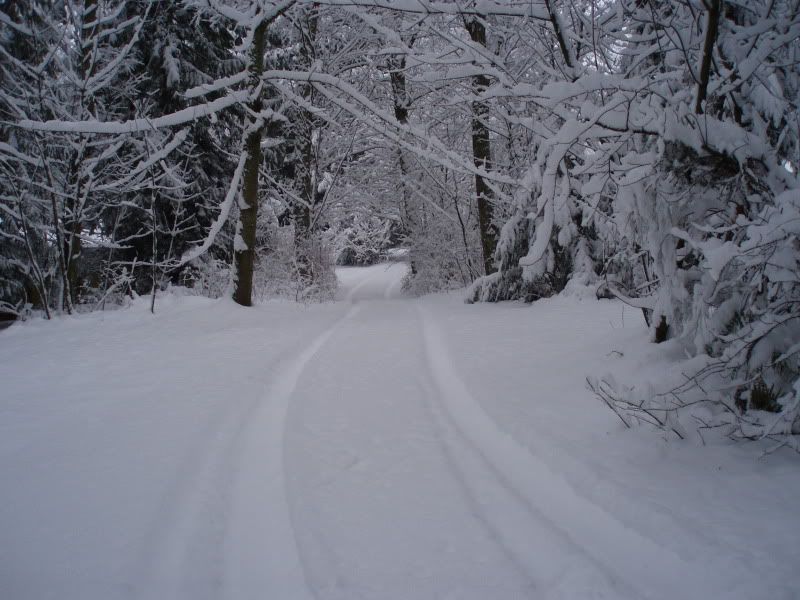 snowy stacks