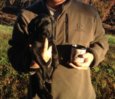 [Hearth.com] Dog pics. Overdone I know but I love dogs, especially Rottweilers. Letâ€™s see â€™em
