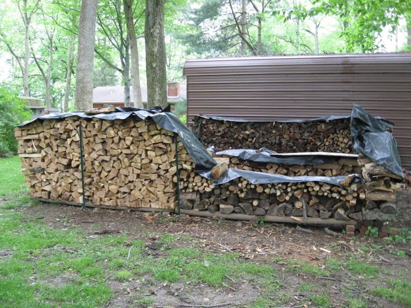 [Hearth.com] Got started on the Ash tree  Pics added