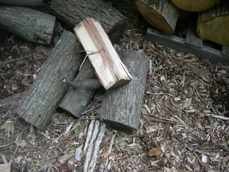 [Hearth.com] Please tell me this is Ash...video added