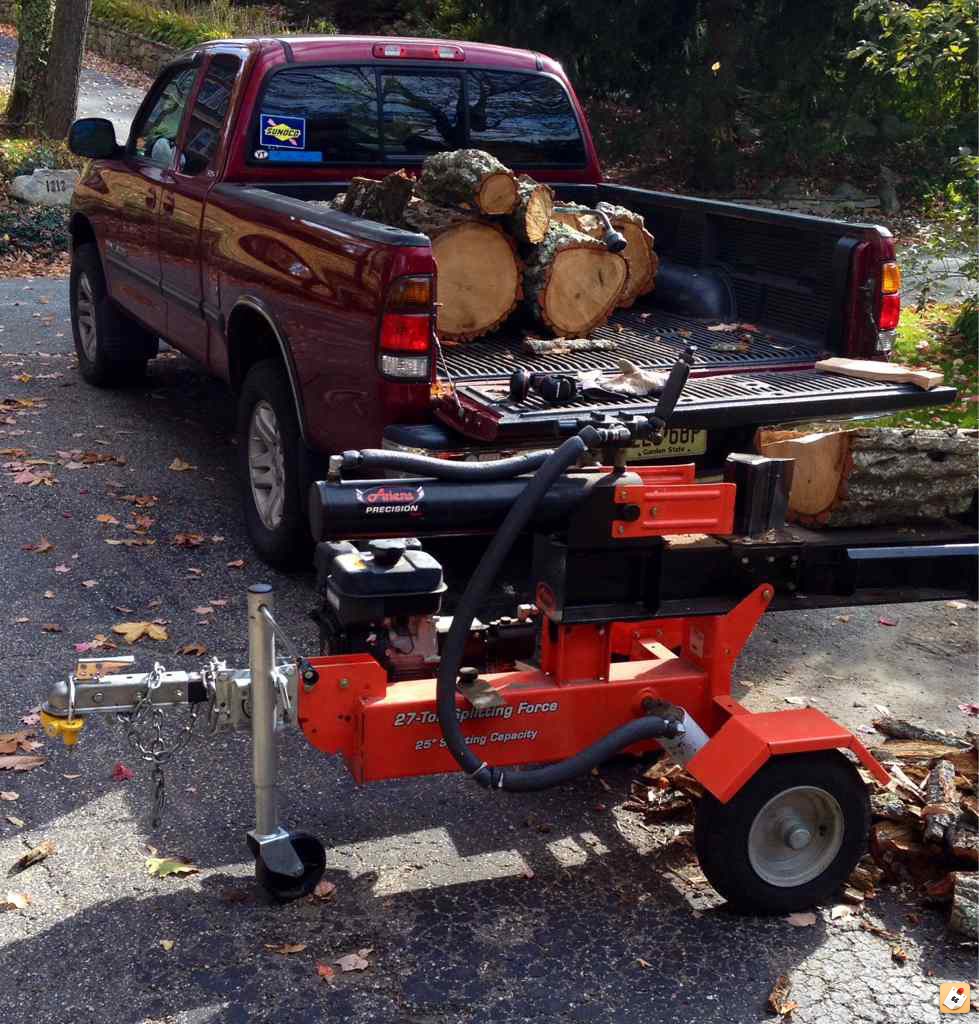 Free Chestnut Oak score!!