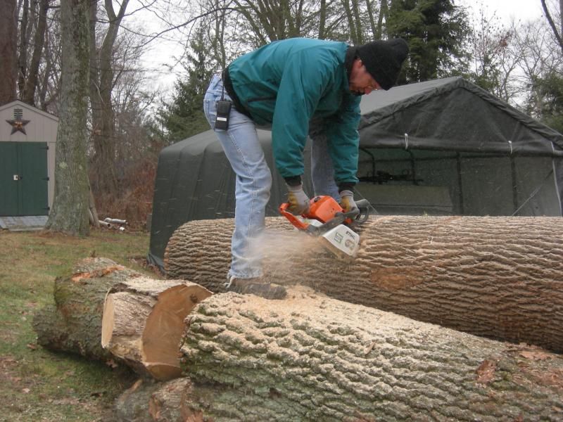 [Hearth.com] Got a small load of logs