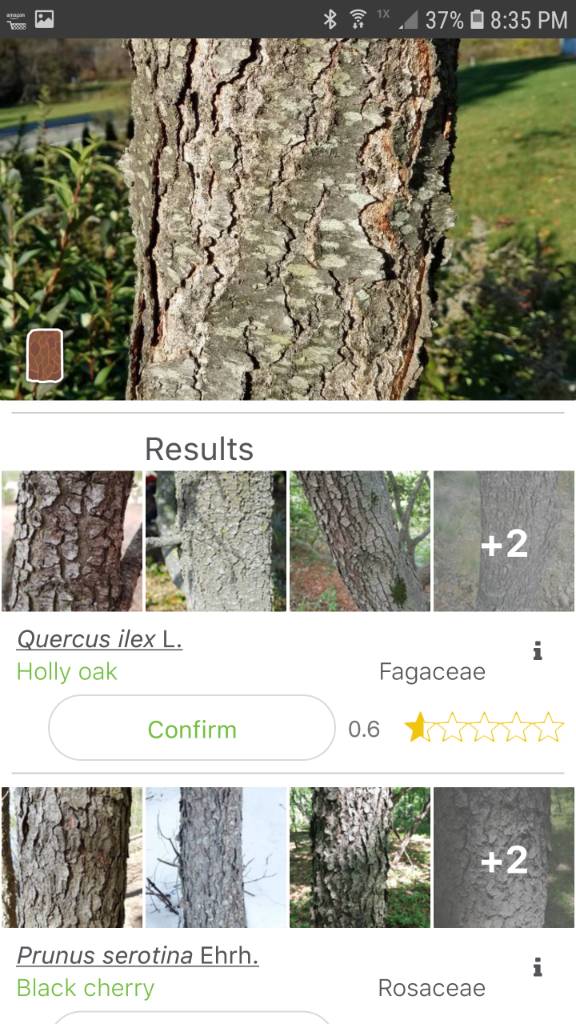 [Hearth.com] Wood ID app