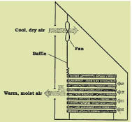 [Hearth.com] Fast wood dryer