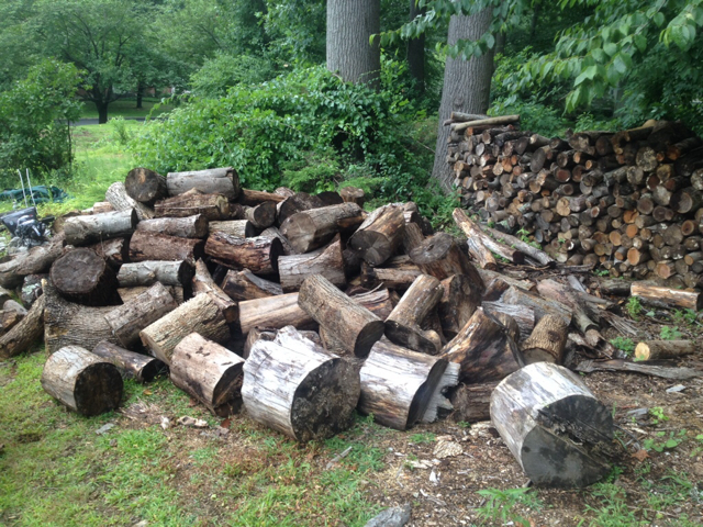 [Hearth.com] Scrounge pics