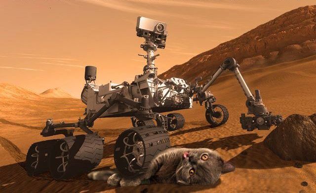 [Hearth.com] Mars Rover attempting landing tonight - BFD