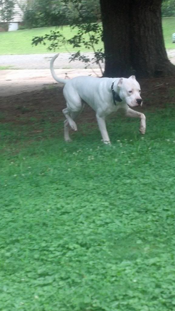[Hearth.com] pet picture thread