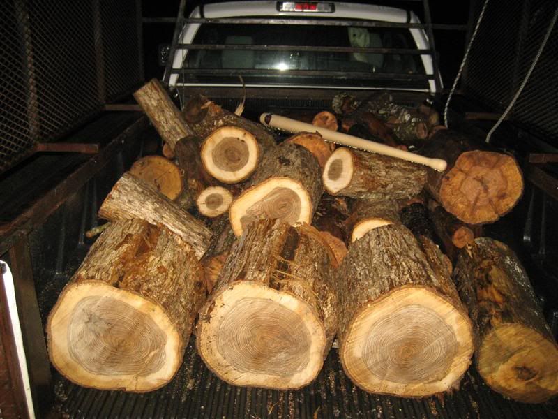 [Hearth.com] Wood ID...old wood from clearcut