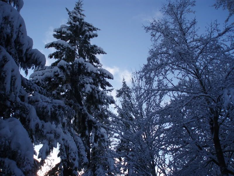 snowy stacks